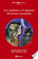 Los mellizos y el misterio del tesoro escondido (ebook)