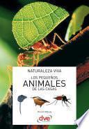 Los pequeños animales de las casas