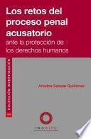 Los retos del proceso penal acusatorio ante la protección de los derechos humanos