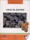 Lulo: El cultivo