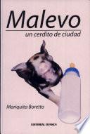 Malevo Un Cerdito de Ciudad