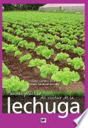 Manual práctico del cultivo de la lechuga
