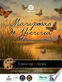 Mariposas de Yuriria