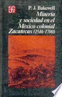 Minería y sociedad en el México colonial