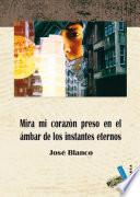 Mira mi corazón preso en el ámbar de los instantes eternos