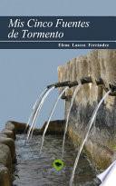 Mis cinco fuentes de tormento