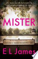 Mister (En Español)