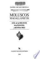 Moluscos magallánicos