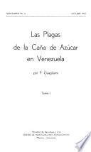 Monografía
