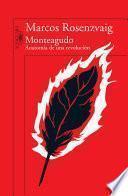 Monteagudo
