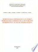 Morfologia espermàtica en porcí