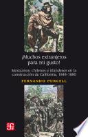 ¡Muchos extranjeros para mi gusto!