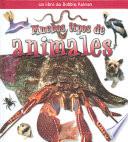 Muchos Tipos de Animales