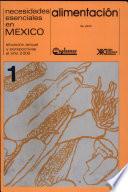 Necesidades esenciales en México
