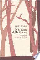 Nel cuore della foresta. Un viaggio attraverso gli alberi