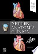 Netter. Anatomía Clínica