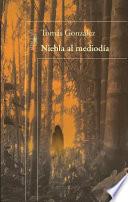 Niebla Al Mediodia