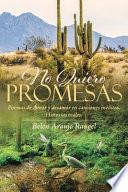 No Quiero Promesas