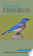 Noche y otros Poemas breves