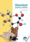 Obesidad canina y felina