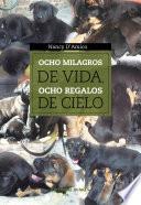Ocho milagros de vida, ocho regalos de Cielo