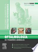 Oftalmología de pequeños animales