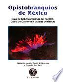 Opistobranquios de México