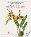 Orquídeas en acuarela: la obra inédita de Rafael Lucas Rodríguez Caballero