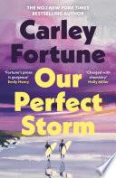 Our Perfect Storm