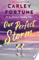 Our Perfect Storm