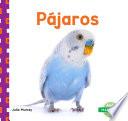 Pájaros (Birds) (Spanish Version)