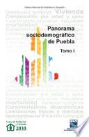 Panorama sociodemográfico de Puebla