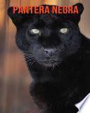 Pantera negra