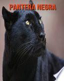 Pantera negra