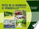 Peces de la quebrada El Venado en el Valle del Cauca, Colombia