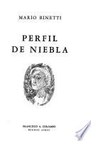Perfil de niebla