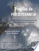 Perfiles de Perseverancia