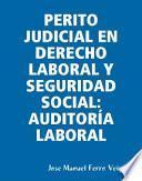 PERITO JUDICIAL EN DERECHO LABORAL Y SEGURIDAD SOCIAL: AUDITORÍA LABORAL