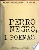 Perro negro, 31[i.e. treinta y uno] poemas