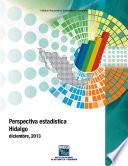 Perspectiva estadística. Hidalgo. 2000-2013