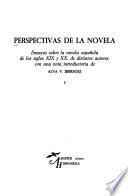 Perspectivas de la novela