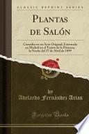Plantas de Salón