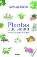 Plantas que sanan