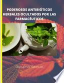 Poderosos Antibióticos Herbales Ocultados Por Las Farmacéuticos