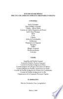 Práctica del derecho indígena originario en Bolivia