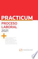 Practicum Proceso Laboral 2021