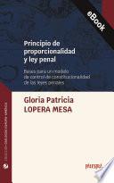 Principio de proporcionalidad y ley penal