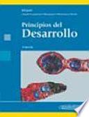 Principios Del Desarrollo / Principles of Development