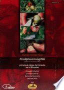 Prodiplosis Longigila