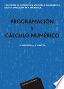 Programación y cálculo numérico (Colección de matemática aplicada e informática)